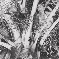 Anna Ka's Photo