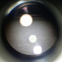 Annie Lorrain的照片