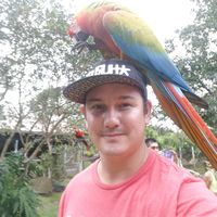 Photos de David Barrante