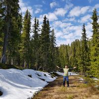 Pranav Srivastava的照片