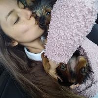 Federica De Luca的照片