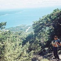 miroslav Dukic's Photo