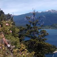 Walter Molinero的照片