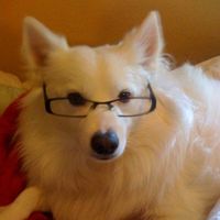 Andrew Costello's Photo