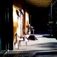 Fotos de Denise Monti