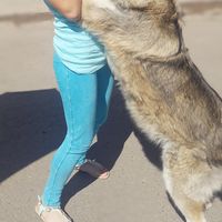 Alexandra Pérez Jaimes的照片