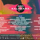 Kalorama Festival (Damiano David)'s picture