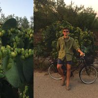 Federico Zonno's Photo