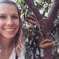 Fotos von Gracieli Persich