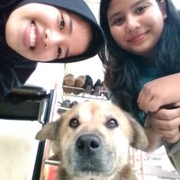 Photos de Yunanda Sari