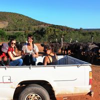 Fotos de Caro Baeger