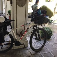 Andres Torres's Photo