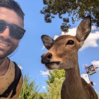 Manuel Contreras's Photo