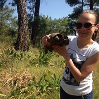 Photos de Elena Sollen