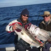 Darcy Driscoll's Photo