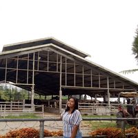 Le foto di Artha Naibaho