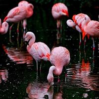 Eugenia Stathopoulou的照片