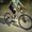 Photos de Sathish Kumar