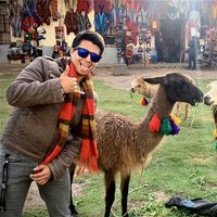 Marco Castillo León的照片