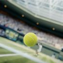 Wimbledon 2024 (second week of tournament)'s picture