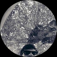 Mateo Budimir's Photo