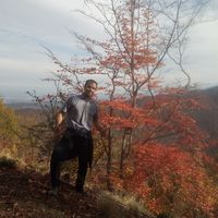 Vahid Rasouli's Photo