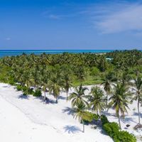 Ahmed Yaameen's Photo