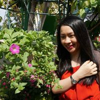 Hoang Le Dung's Photo