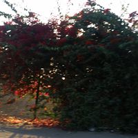 Amira Hassan's Photo