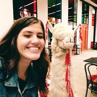 Vitória Gheller Egert的照片