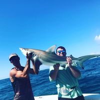 Shane Nardine's Photo