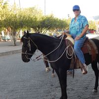 Patricia Pearson's Photo