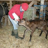 Heather Phillips and James Trickett's Photo