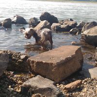 Kristina Ballerina's Photo