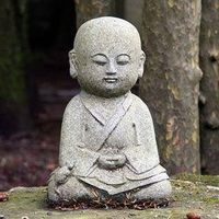 Đức Thiều Nguyễn的照片