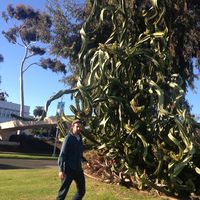 James Wilson的照片