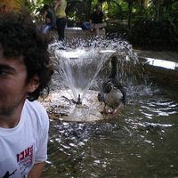 Le foto di Igor Tsinovoi