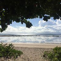 Mauricio Barrantes's Photo