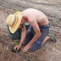 Loïc Dar Al Uz的照片