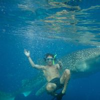 Photos de Alexander Jones-huckle