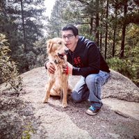 David Marquez的照片