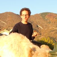 Paul Bressand的照片