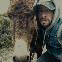 Ammar Elrifai's Photo