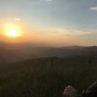 Rita Stefanini的照片