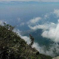 Sergio Carrillo's Photo