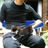 Niels Ruelens's Photo