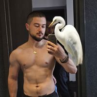 Kostandin Gjini's Photo