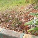 Mindfulness Meditation 的照片