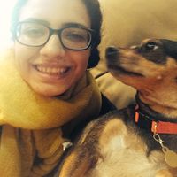 Helia Seifikar的照片