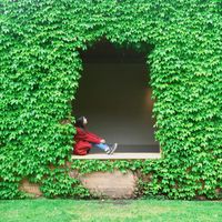 Kiminco Huang's Photo